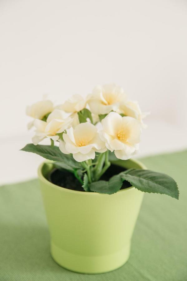 B&B Fior Fiore Spello Dış mekan fotoğraf