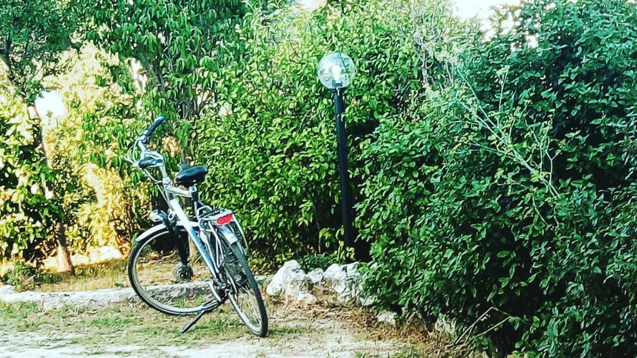B&B Fior Fiore Spello Dış mekan fotoğraf